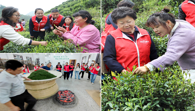 “阅读”六安茶