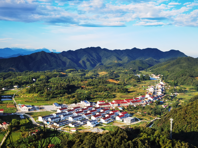 金寨县x324梅汤路入选全国十大最美农村路并位居榜首