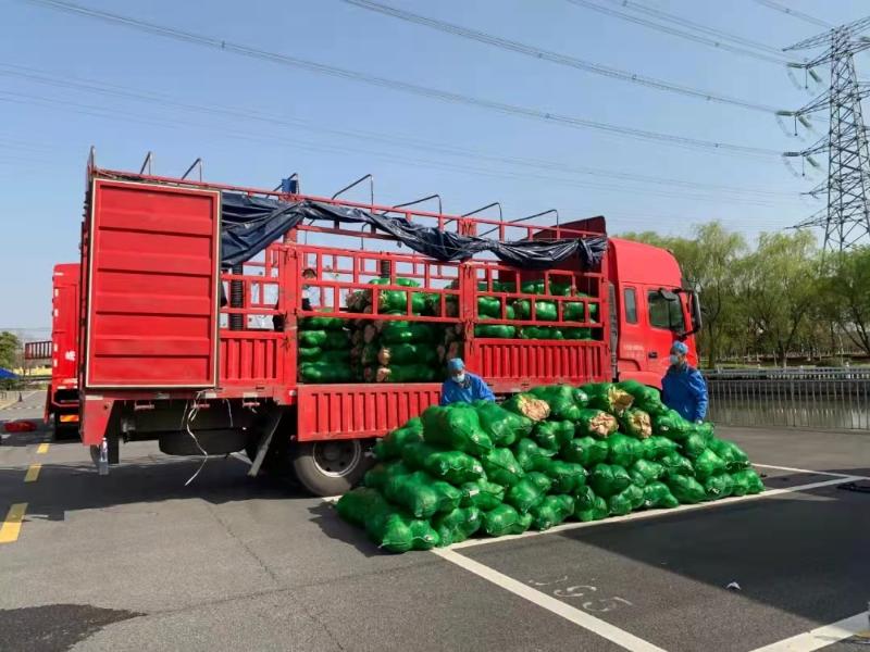 市交通运输局为运送上海松江区农产品保障运输车辆
