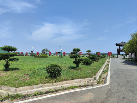 徽蓮路打通觀景道,旅客樂賞萬畝荷塘_六安市交通運輸局